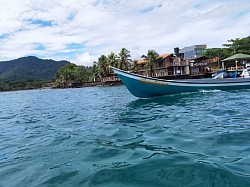 Nuestro jardín tropical